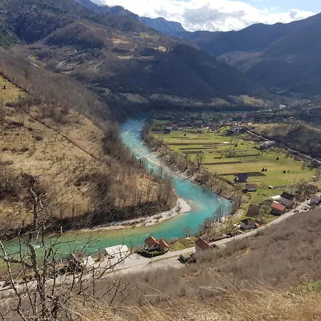 Winter House In Noah's Ark *