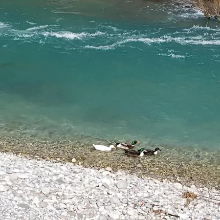 Winter House In Noah's Ark بيت للعطل