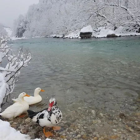 Tatil Evi Winter House In Noah's Ark *